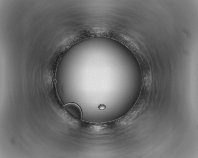 X0000110930662200906181430