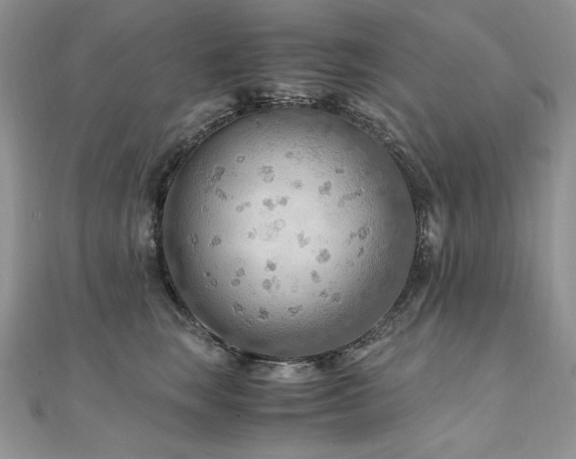 X0000110930663200906181430