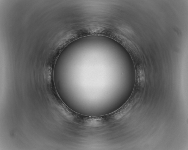 X0000110930664200906181430