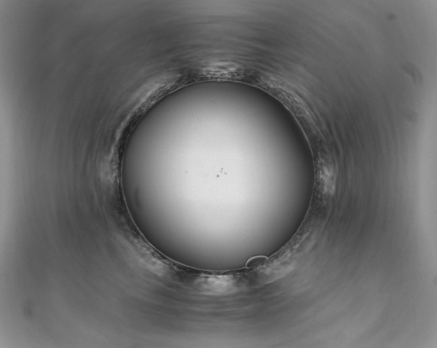 X0000110930665200906181430