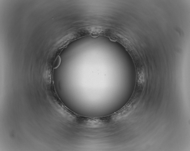 X0000110930666200906181430