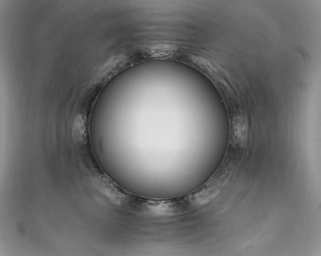 X0000110930667200906181430