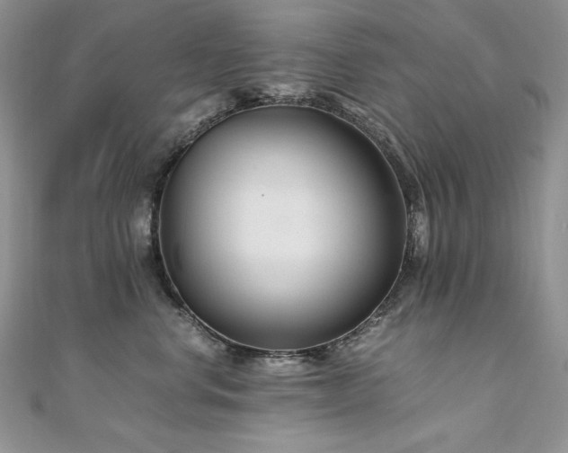 X0000110930668200906181430