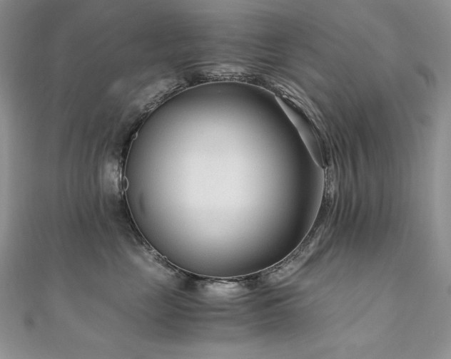 X0000110930669200906181430