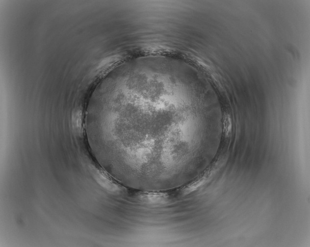 X0000110930670200906181430