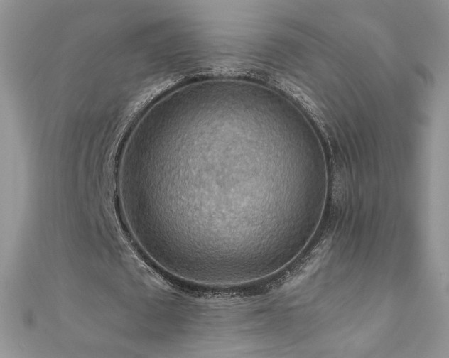 X0000110930673200906181429