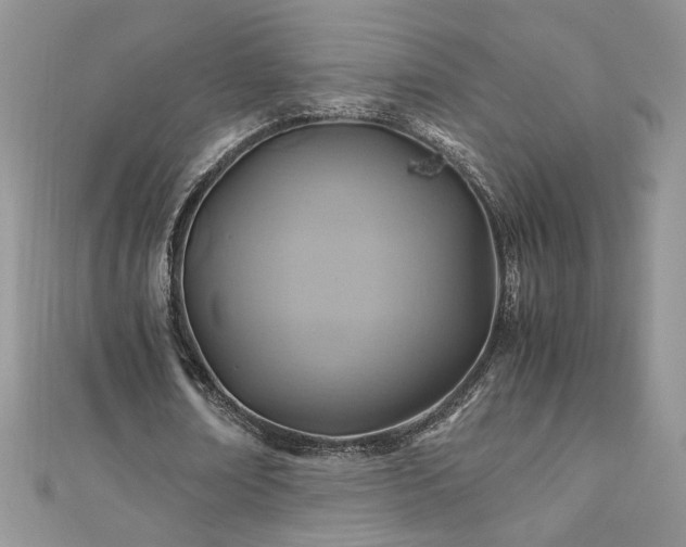 X0000110930674200906181429