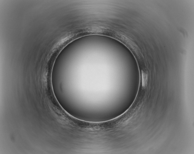 X0000110930675200906181429