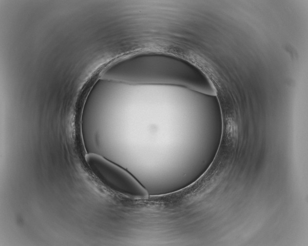 X0000110930676200906181429