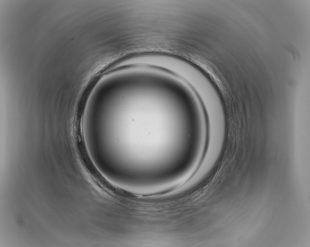 X0000110930677200906181429