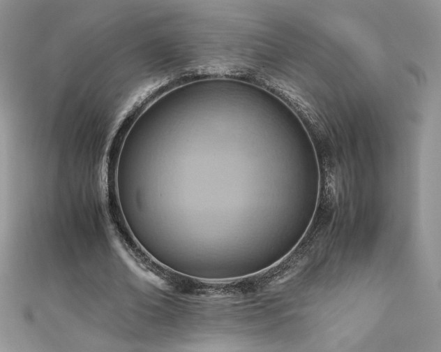 X0000110930678200906181429