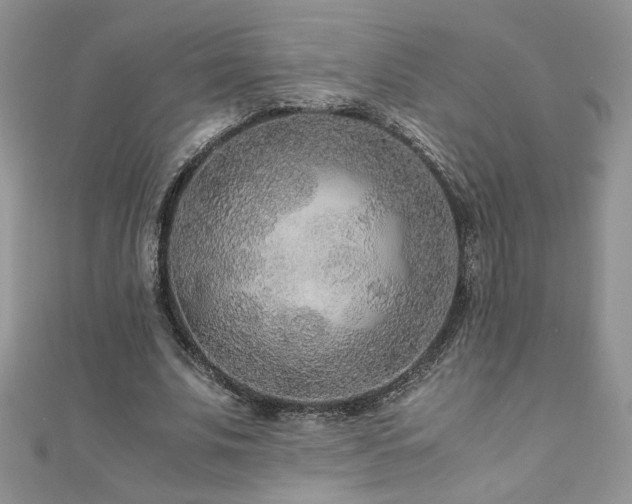 X0000110930679200906181429