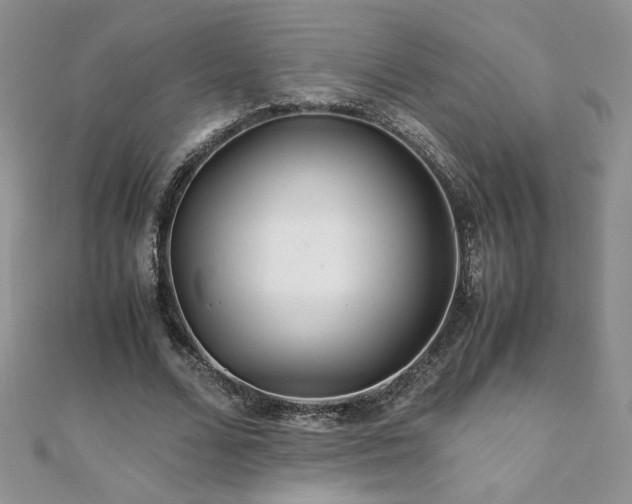 X0000110930680200906181429