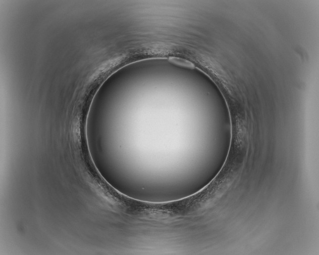 X0000110930681200906181429