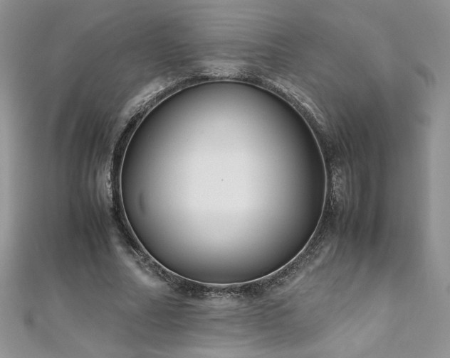 X0000110930682200906181429