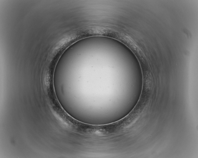 X0000110930683200906181429