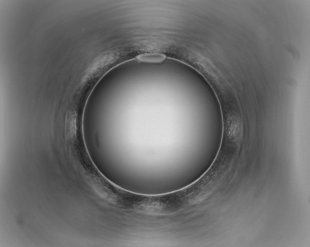 X0000110930685200906181429