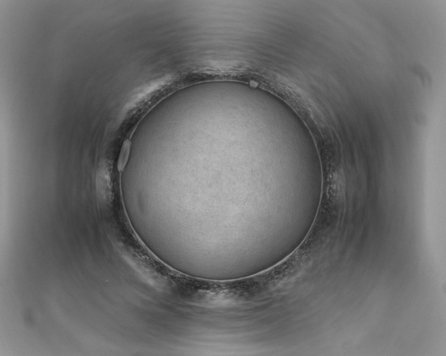 X0000110930688200906181429