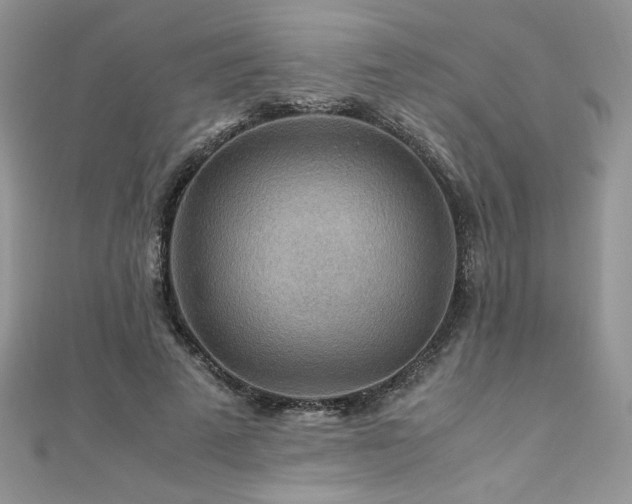 X0000110930689200906181429