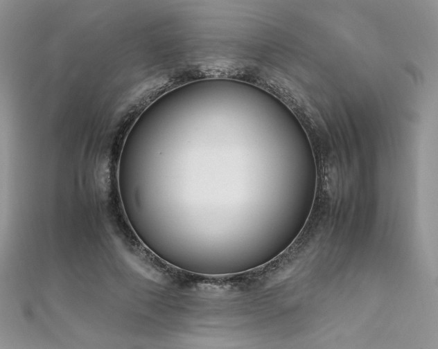 X0000110930690200906181429