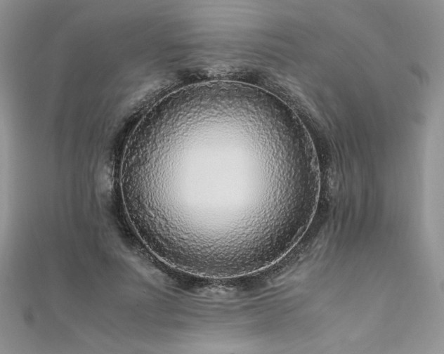 X0000110930691200906181429