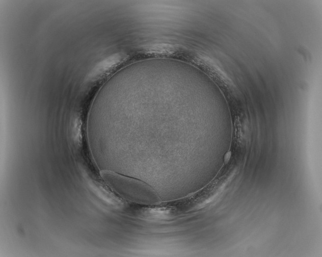 X0000110930692200906181429