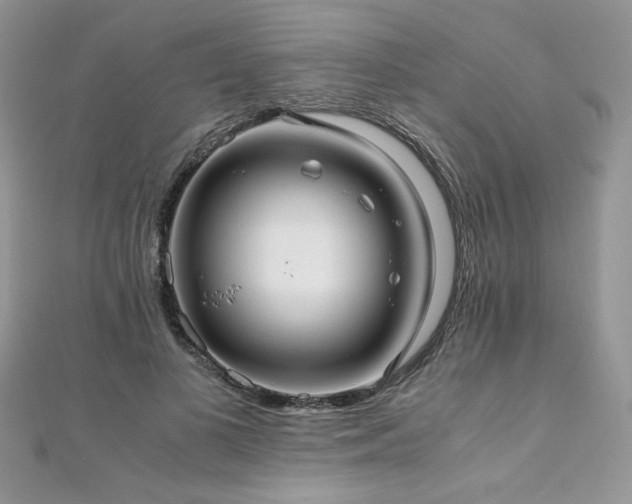 X0000110930693200906181429