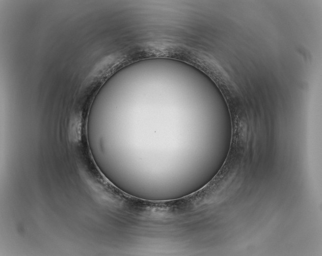 X0000110930694200906181429