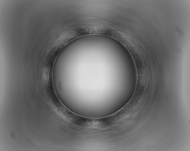 X0000110930695200906181429