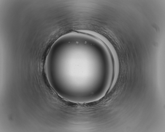 X0000110930697200906181429