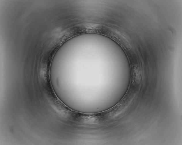 X0000110930698200906181429