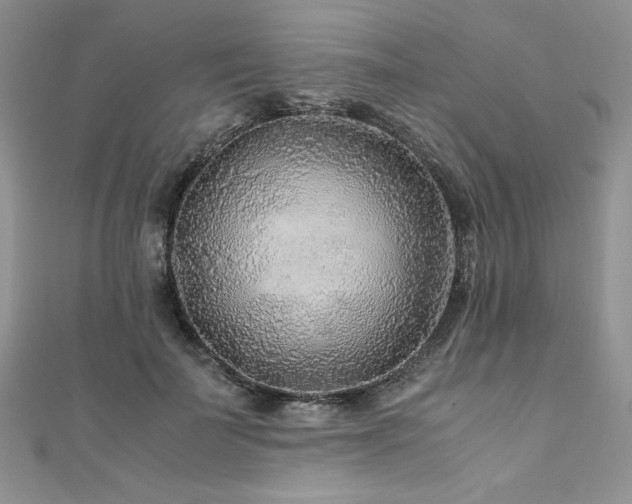 X0000110930699200906181429