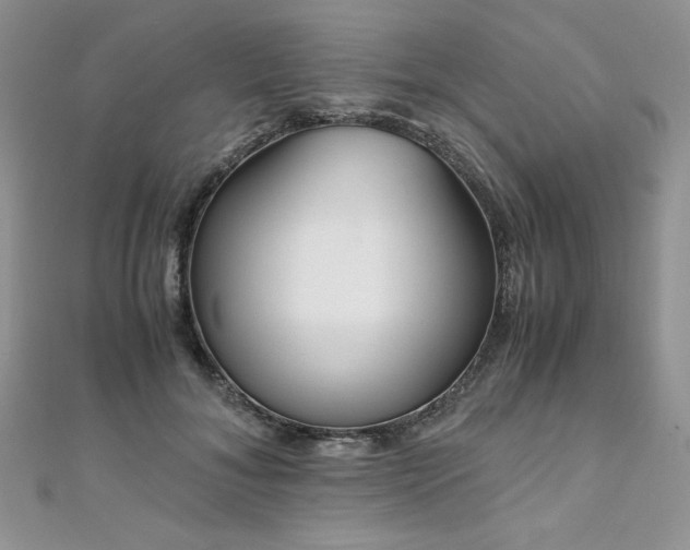 X0000110930700200906181429