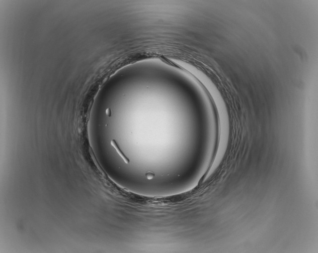 X0000110930701200906181429