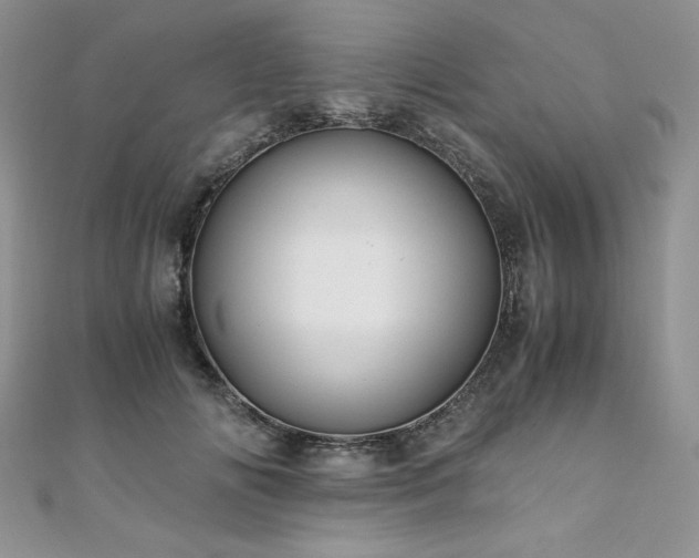 X0000110930702200906181429