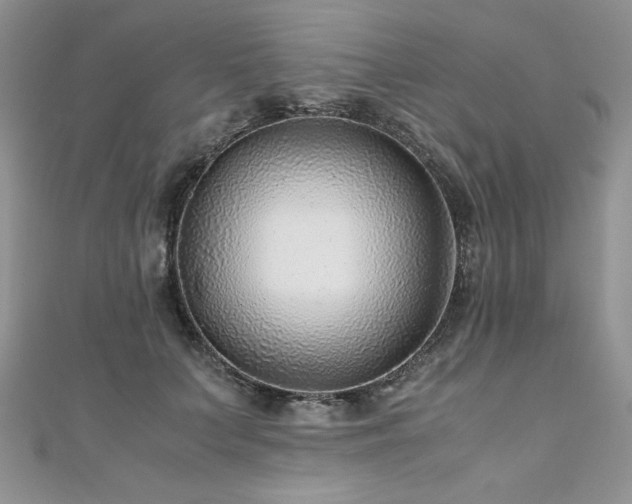 X0000110930703200906181429