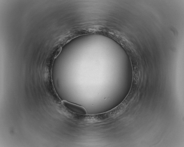 X0000110930704200906181429