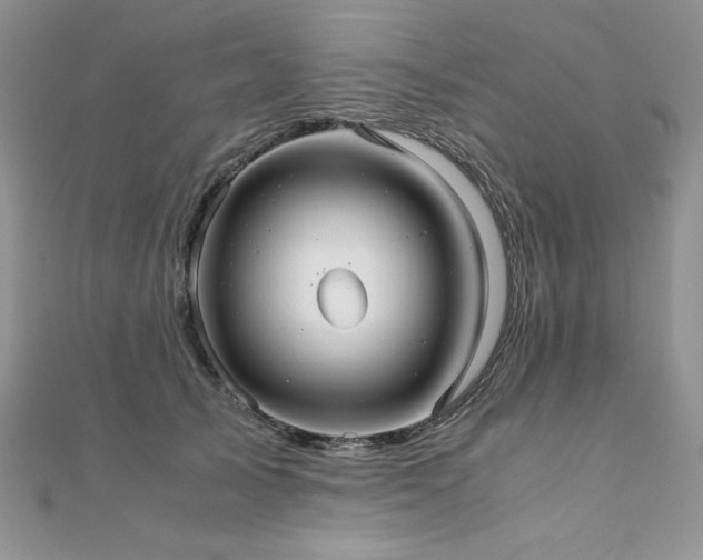 X0000110930705200906181429