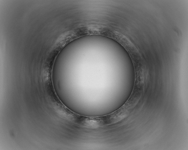 X0000110930706200906181429
