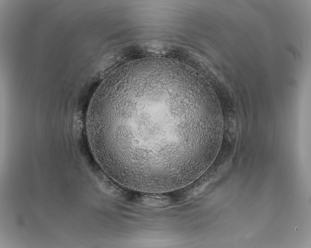 X0000110930707200906181429