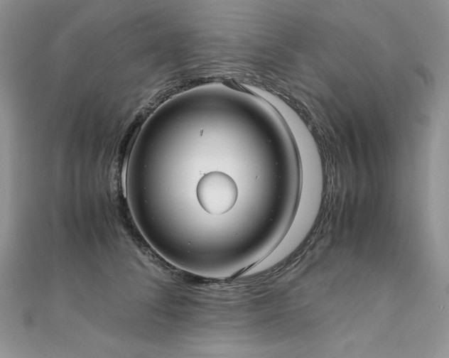 X0000110930708200906181429