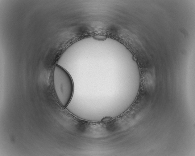 X0000110930709200906181429