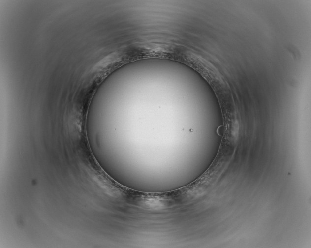 X0000110930710200906181429