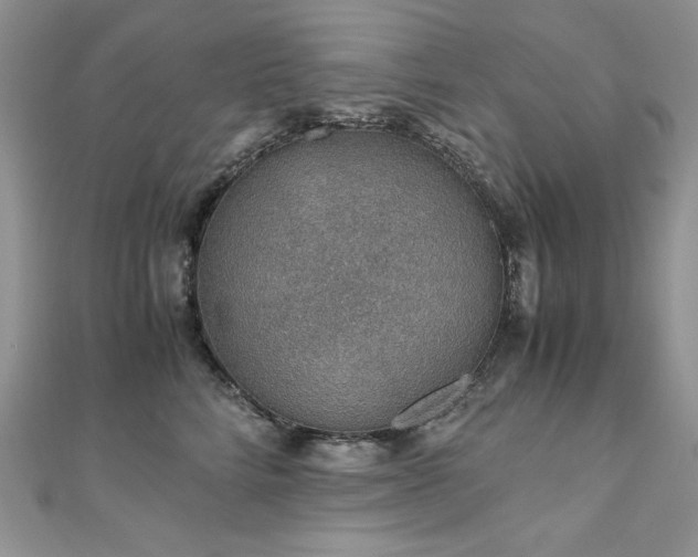 X0000110930712200906181429