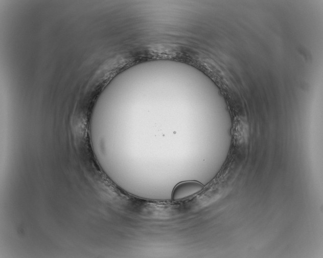 X0000110930713200906181429