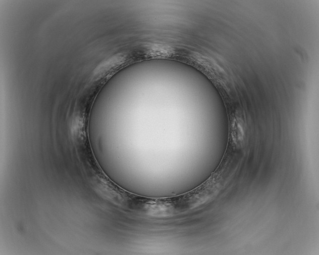 X0000110930714200906181429