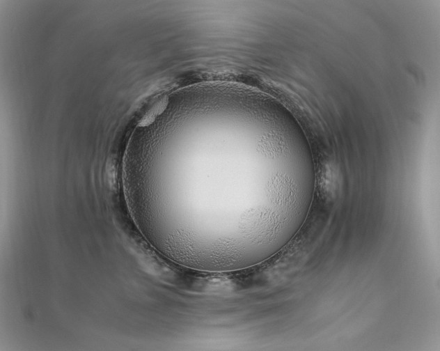 X0000110930715200906181429