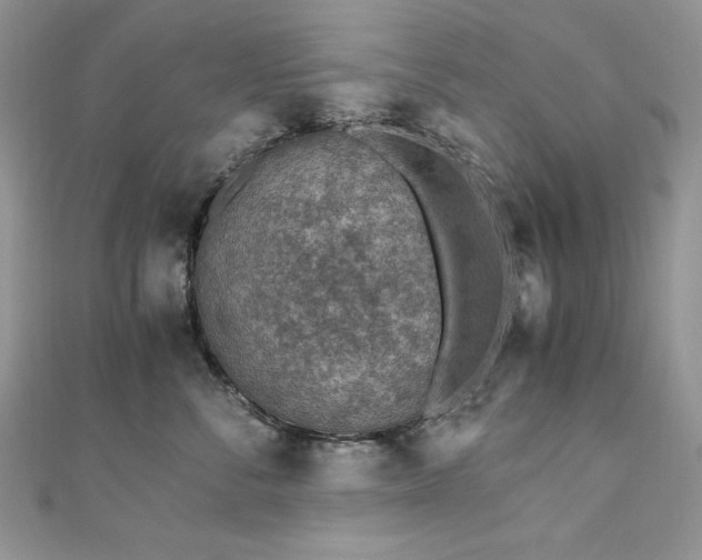 X0000110930716200906181429