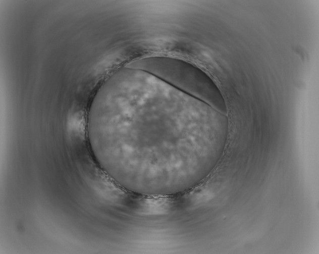 X0000110930720200906181429