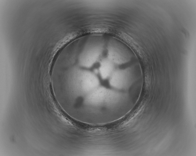 X0000110930721200906181428